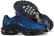 Nike Air Max TN 8909-A43